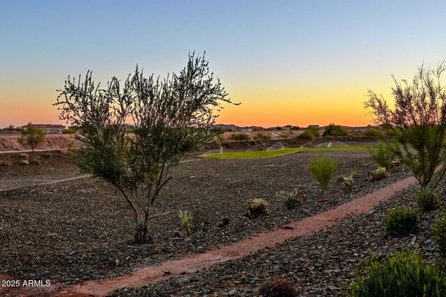 32553 N 133rd Ave, Peoria, AZ 85383 - view of yard at dusk