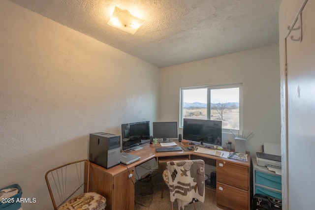 office with carpet floors and a textured ceiling