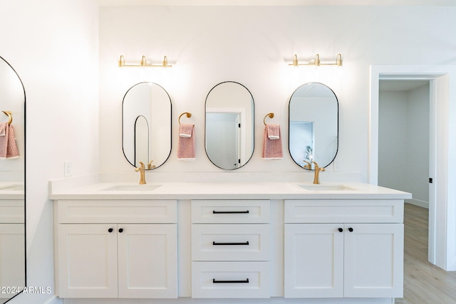3939 S Veronica Ln, Gold Canyon, AZ 85118 - bathroom featuring double vanity, wood finished floors, and a sink