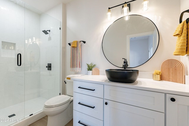 3939 S Veronica Ln, Gold Canyon, AZ 85118 - bathroom with toilet, a stall shower, and vanity