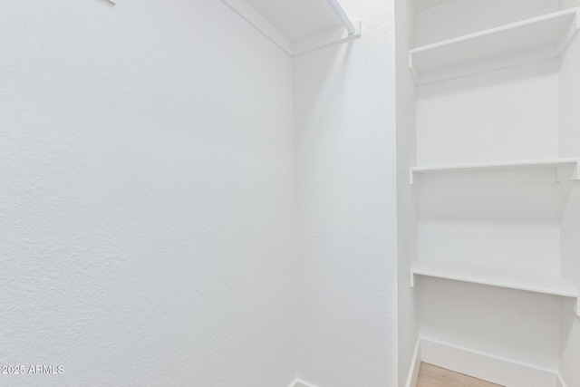 spacious closet featuring wood-type flooring