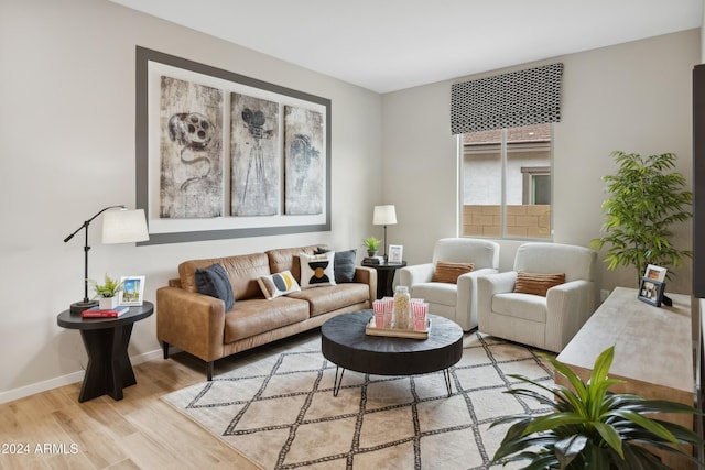 living room with light hardwood / wood-style floors