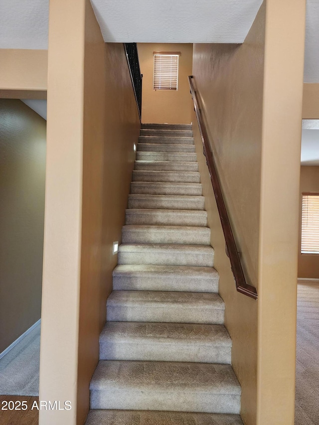 stairway featuring carpet flooring