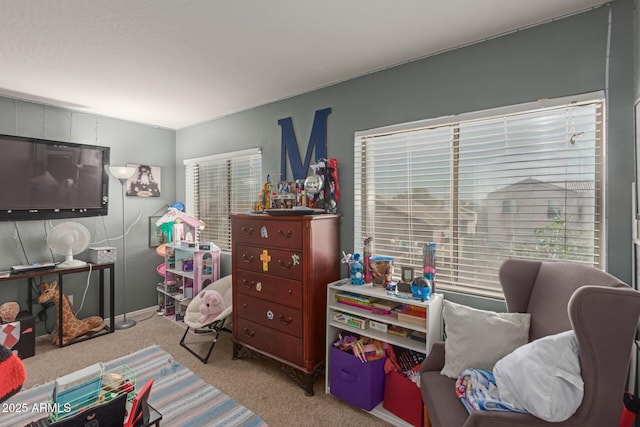 bedroom featuring carpet and multiple windows