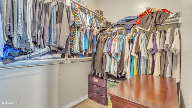 view of walk in closet