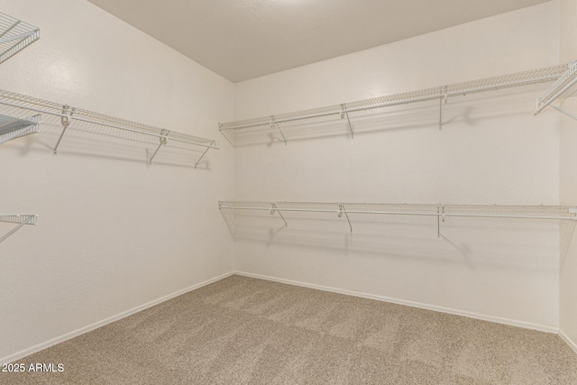 17493 N Costa Brava Ave, Maricopa, AZ 85139 - spacious closet with carpet flooring