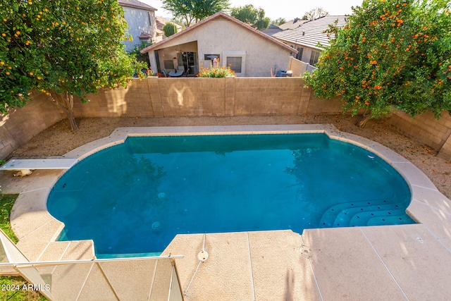 view of swimming pool