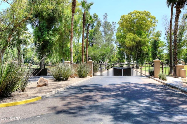 view of road with a gate, curbs, and a gated entry