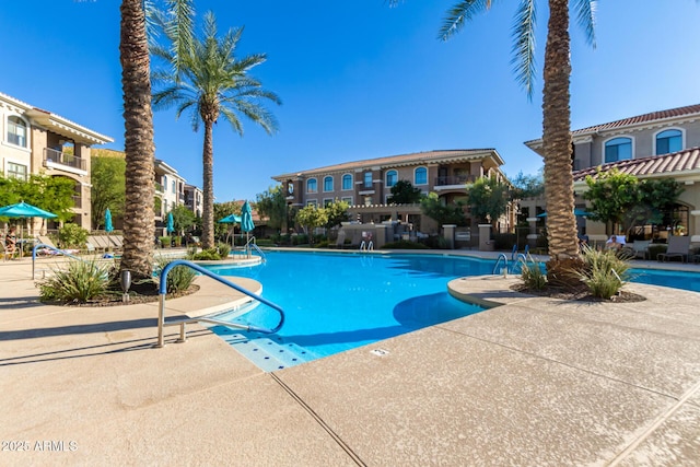 view of swimming pool featuring a patio