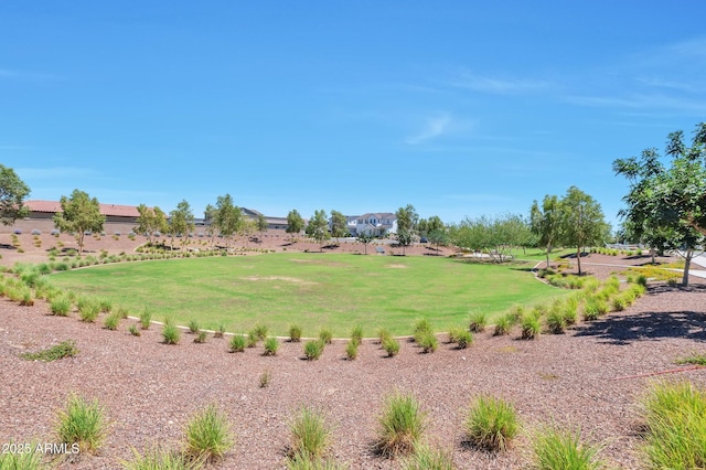 19908 W Montecito Ave, Litchfield Park, AZ 85340 - view of grassy yard