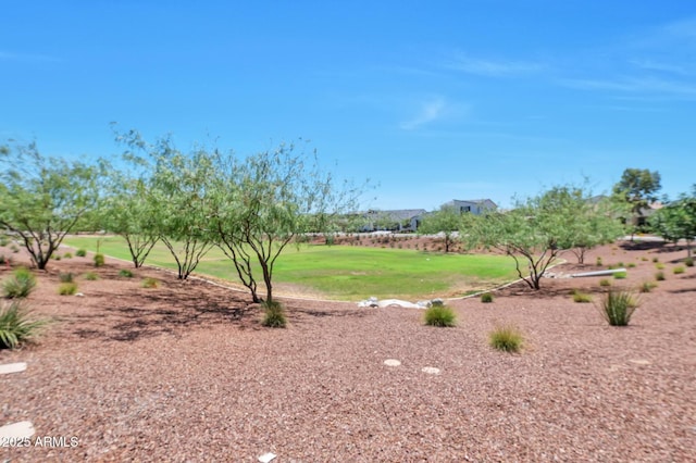 19908 W Montecito Ave, Litchfield Park, AZ 85340 - view of grassy yard