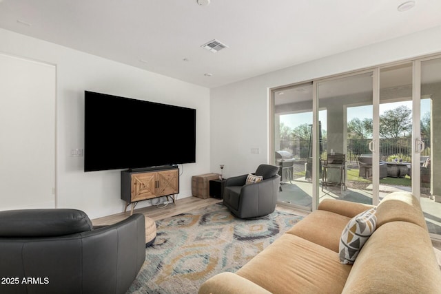 living room featuring wood-type flooring