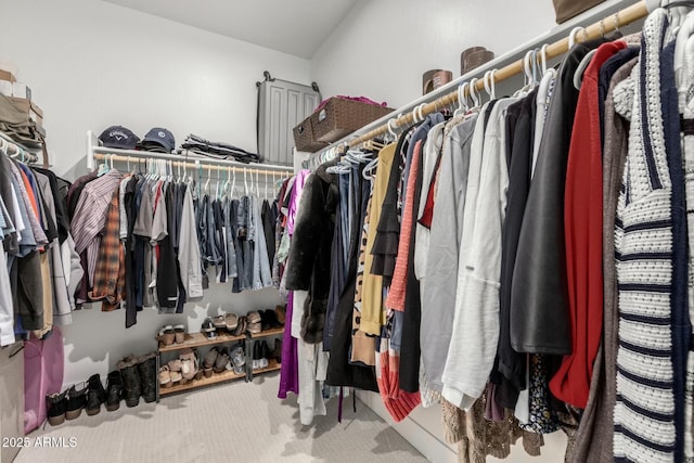 spacious closet featuring carpet floors