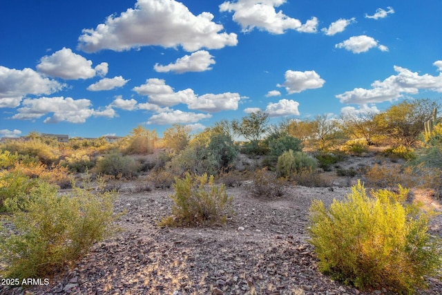 view of local wilderness