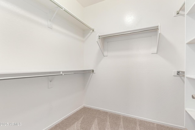 9148 W Meadow Dr, Peoria, AZ 85382 - walk in closet featuring carpet floors