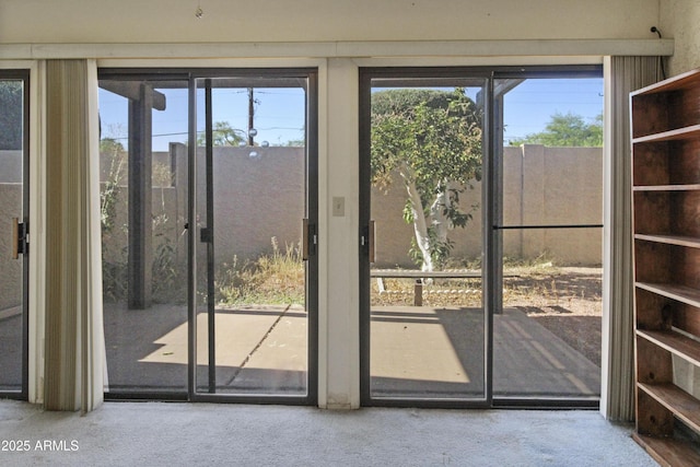 3345 E University Dr Unit 2, Mesa, AZ 85213 - doorway to outside featuring carpet