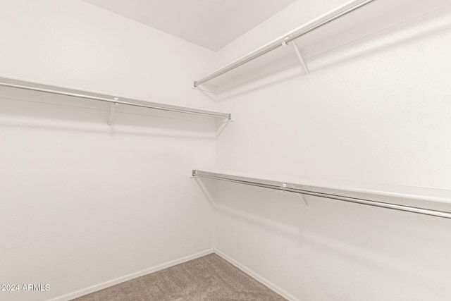 walk in closet with carpet flooring