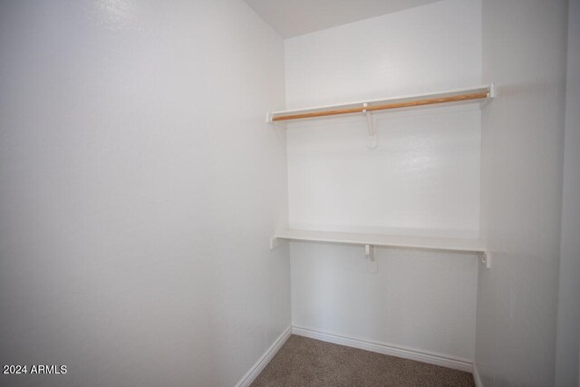 spacious closet with carpet