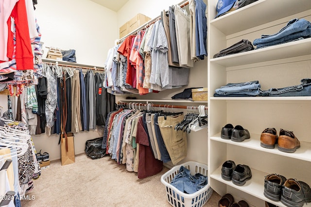 spacious closet with light colored carpet