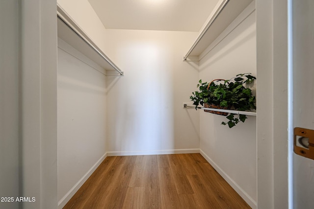 spacious closet featuring light wood-type flooring