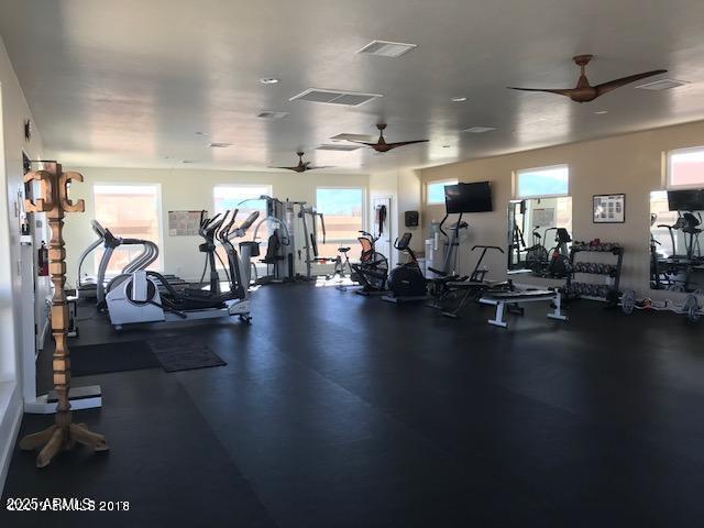 exercise room featuring a healthy amount of sunlight, ceiling fan, and visible vents