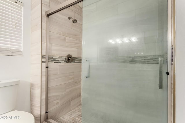 bathroom with a shower stall and toilet