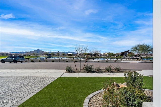 25751 S 227th Way, Queen Creek, AZ 85142 - view of yard