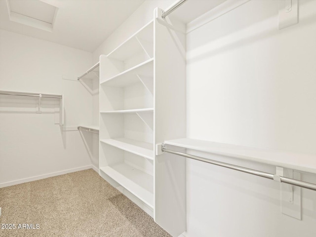 spacious closet with carpet