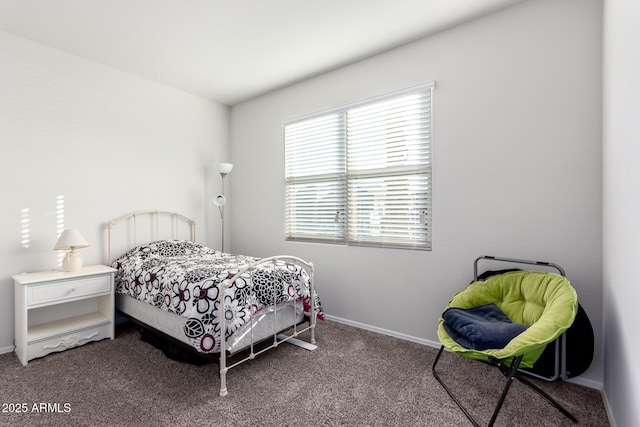 bedroom featuring carpet