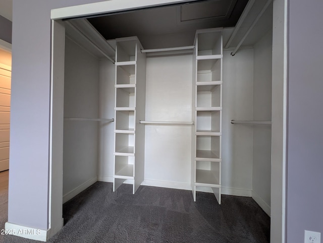 walk in closet featuring carpet floors