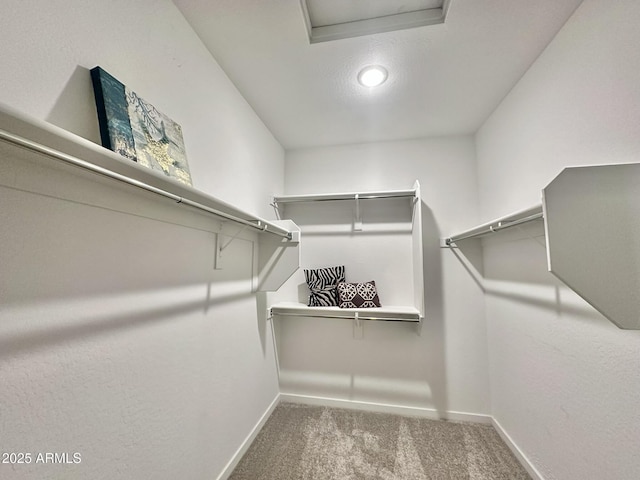 walk in closet with carpet