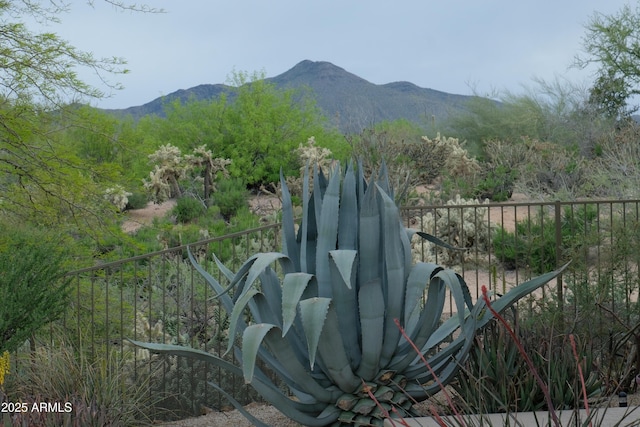 view of mountain feature