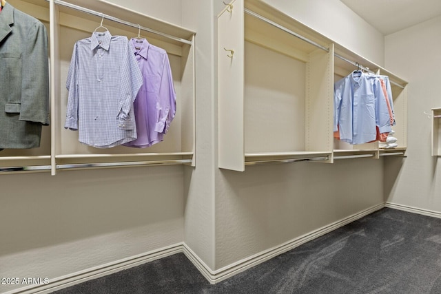 spacious closet with carpet floors