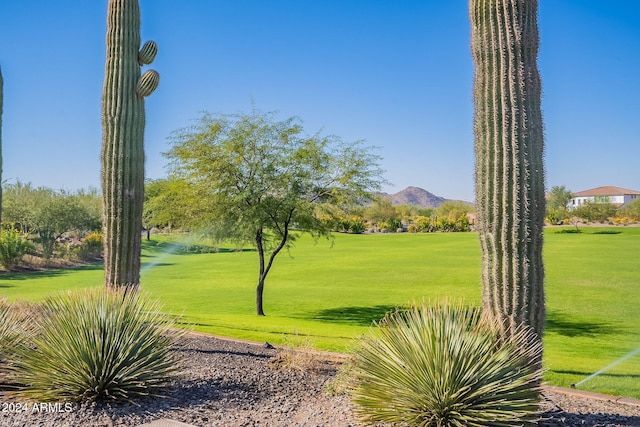 view of community featuring a lawn and a mountain view