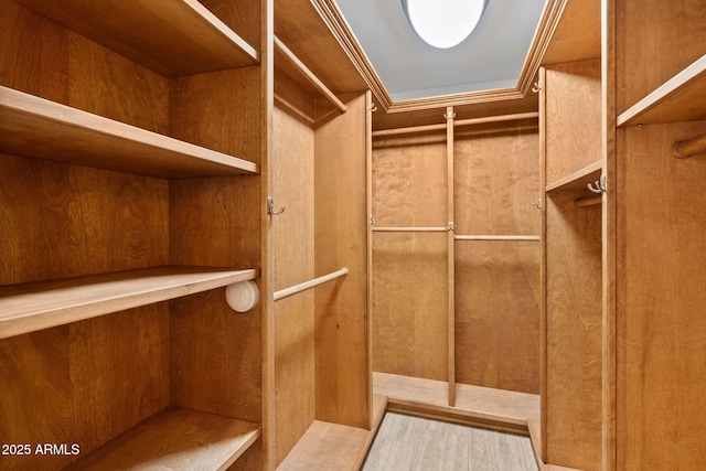 4200 N Miller Rd Unit 504, Scottsdale, AZ 85251 - view of walk in closet
