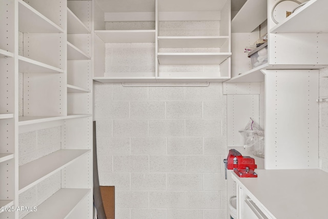 4200 N Miller Rd Unit 504, Scottsdale, AZ 85251 - view of spacious closet