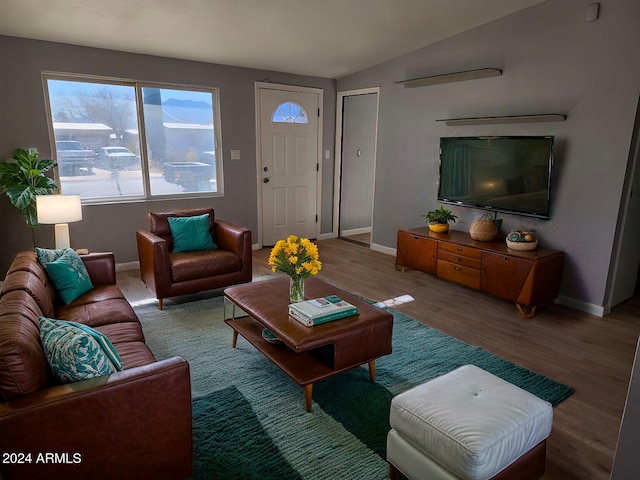 living room with wood-type flooring and lofted ceiling