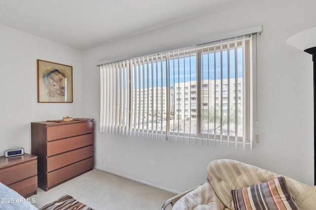 bedroom with light colored carpet