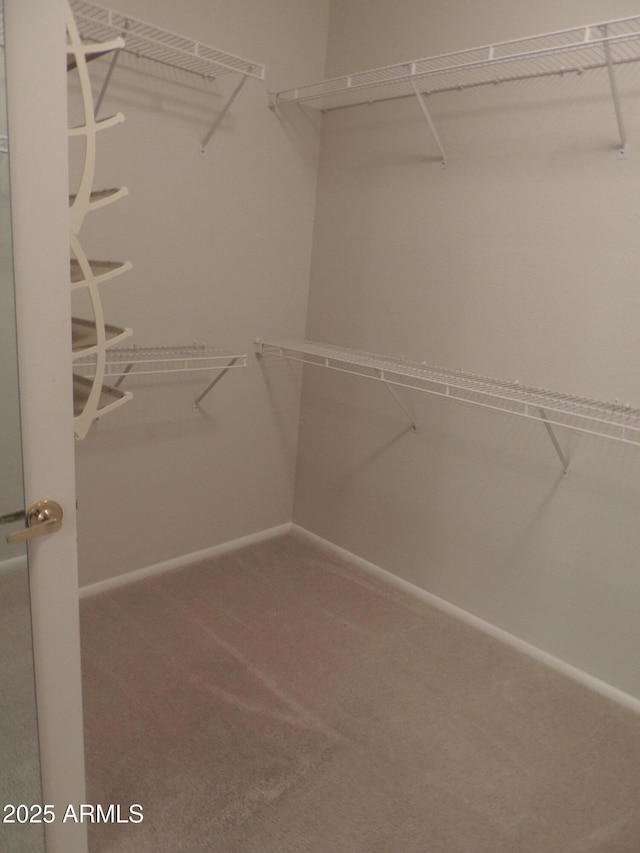 15104 W Pinehurst Ln W, Surprise, AZ 85374 - walk in closet with carpet flooring