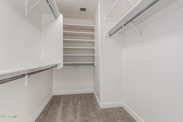 2112 S 160th Dr, Goodyear, AZ 85338 - walk in closet with carpet floors