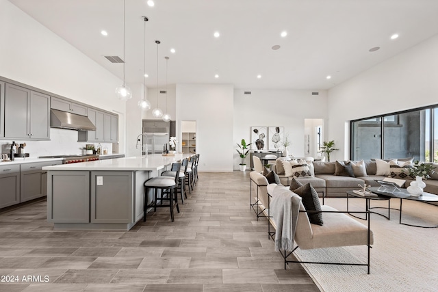 living room featuring a towering ceiling