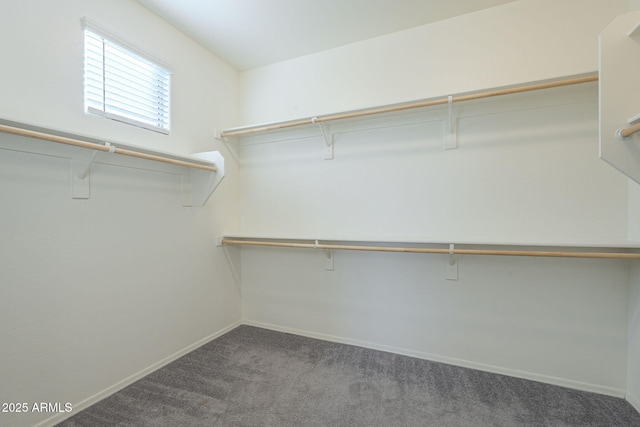 spacious closet featuring carpet floors