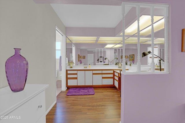 bathroom featuring a healthy amount of sunlight, sink, and hardwood / wood-style floors