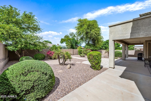 19242 W Pasadena Ave, Litchfield Park, AZ 85340 - fenced backyard featuring a patio area and a grill