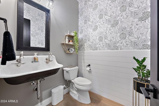 bathroom with sink, wood-type flooring, and toilet