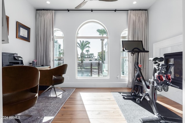 workout room featuring ceiling fan and hardwood / wood-style flooring