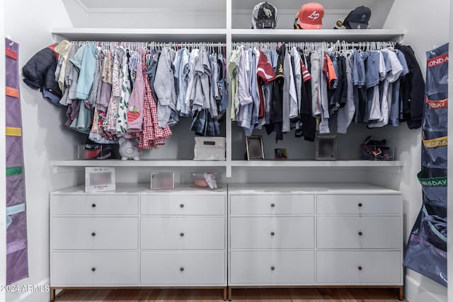 view of closet