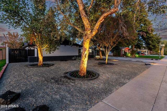 view of yard at dusk