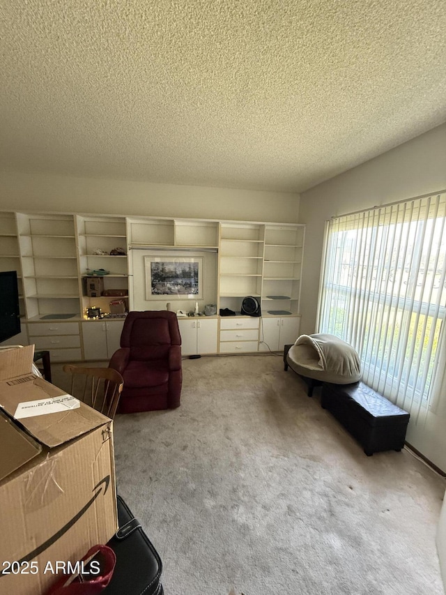 carpeted living area with a textured ceiling