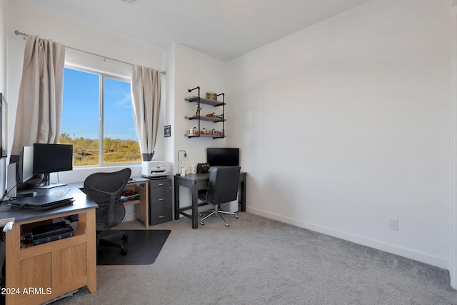 office area featuring light colored carpet